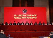 舍弗勒和纬湃科技正式签署合并协议