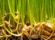 Seeds丨苇渡科技完成1.1亿美元B轮融资