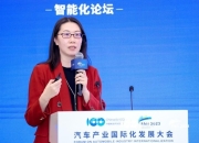 中国车企国际化布局加速，火山引擎应时发布出海解决方案