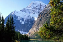 王兴表达不满？MEGA的“错”到底是谁“锅”？